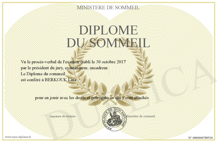 diplome universitaire sommeil